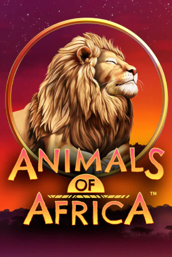 Демо игра Animals of Africa ™ на сайте игровых автоматов JoyCasino