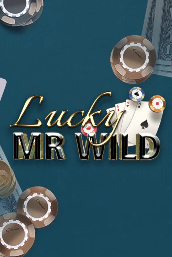 Демо игра Lucky Mr. Wild на сайте игровых автоматов JoyCasino