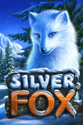 Демо игра Silver Fox на сайте игровых автоматов JoyCasino