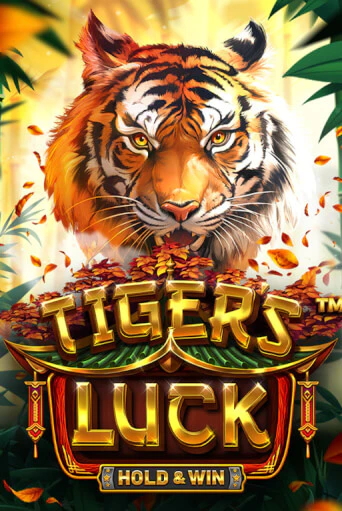 Демо игра Tiger's Luck - Hold & Win на сайте игровых автоматов JoyCasino