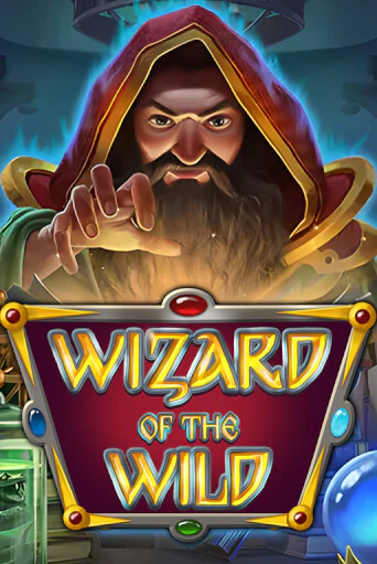 Демо игра Wizard of the Wild на сайте игровых автоматов JoyCasino